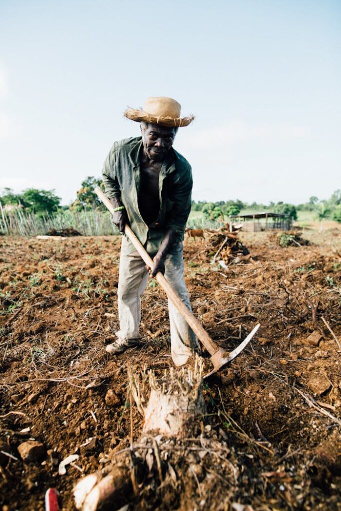 pexels-photo-2382665 An African farmer wearing a straw hat tills the soil with a spade in a rural countryside field.